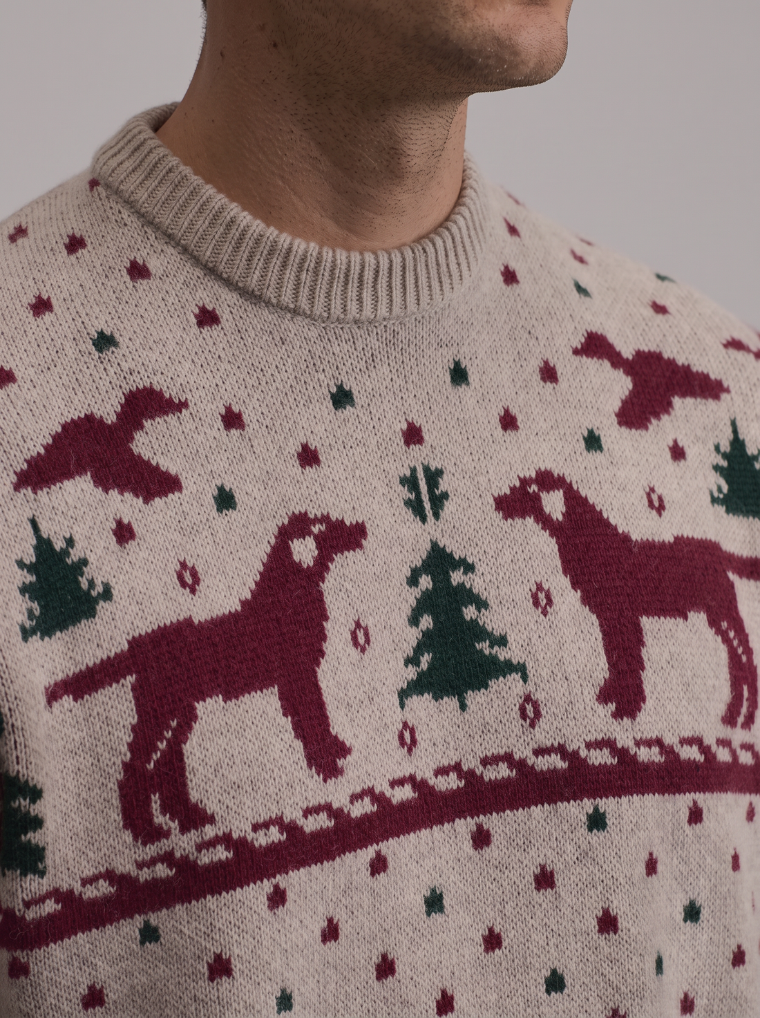 Men's Dog Christmas Jumper – knitted dog motif close-up